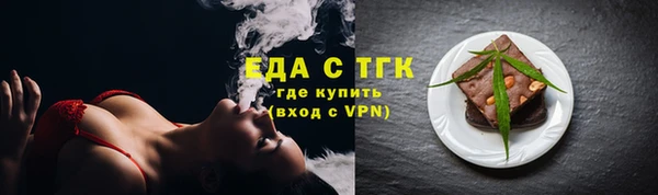 гашик Ельня