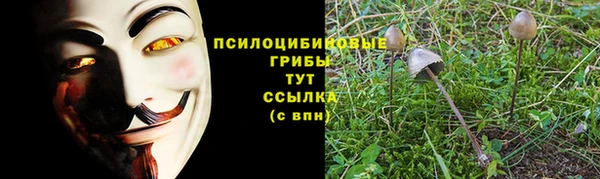 винт Елизово