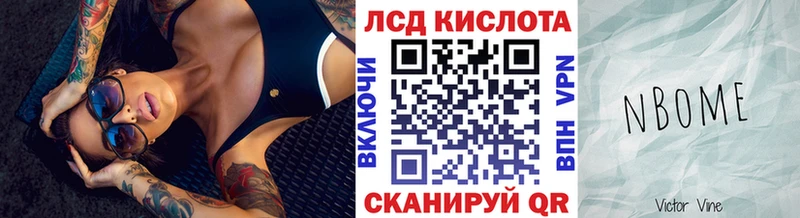 Купить  Берёзовка  Марки N-bome 1500мкг 