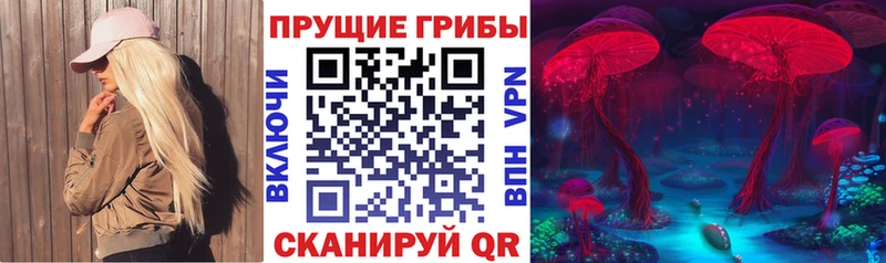 Псилоцибиновые грибы Magic Shrooms  Купить где  Берёзовка 